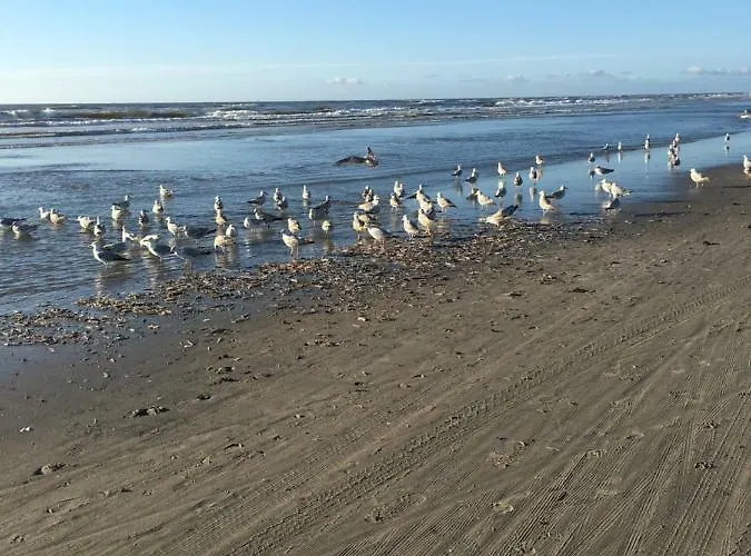De Sluiswachter فندق مبيت وإفطار جرافنزانده